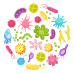 Fungi & Bacteria