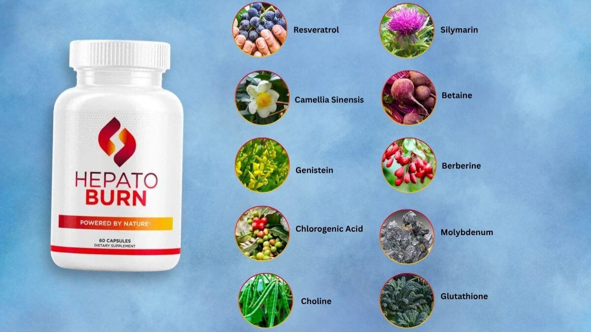 HepatoBurn